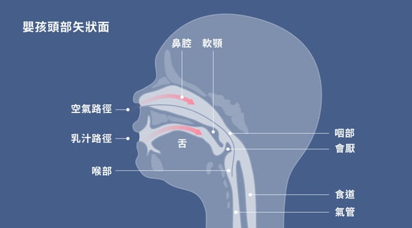 241003_部落格KV_1000x555px_1