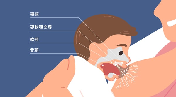 241003_部落格KV_1000x555px_2