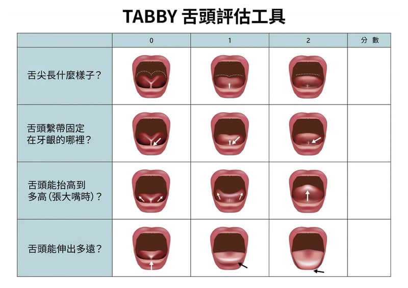 Tabby-舌繫帶評量表_2