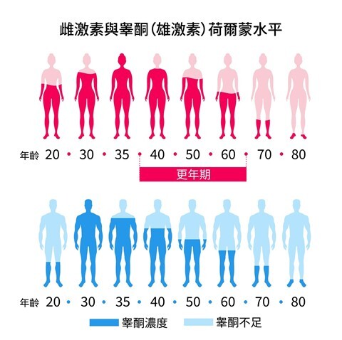 雌激素宇睪酮荷爾蒙水平