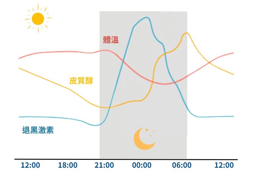 Sleep Mechanism-1