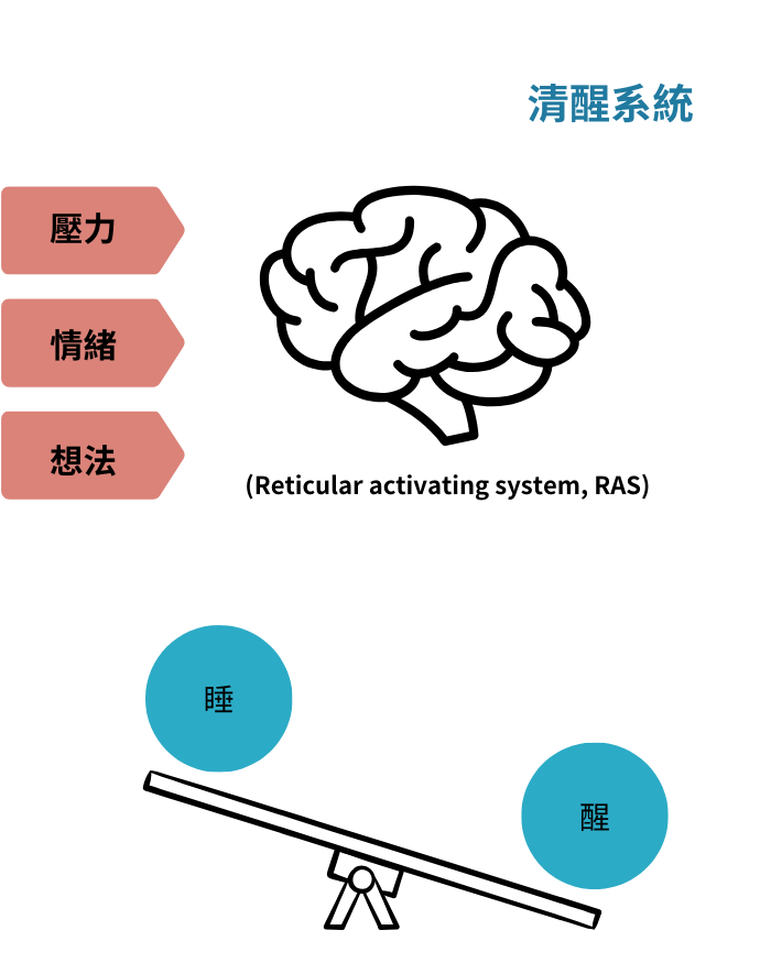 清醒系統 (RAS)