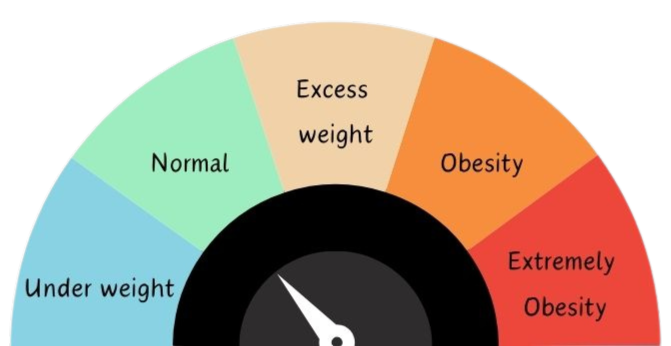 normal BMI